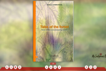 Fliphtml5 & my new flipbook "Tales of the forest vol.2"